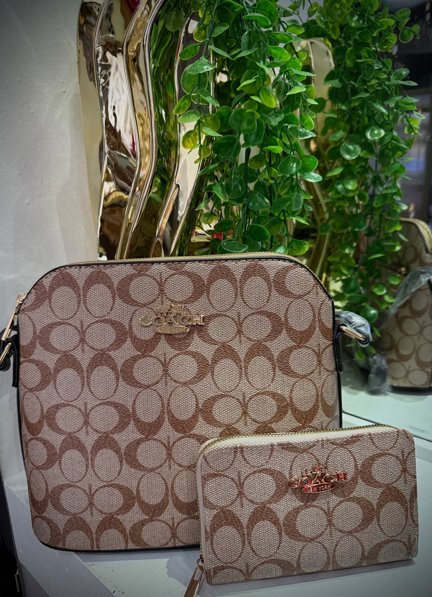 Dúo Coach