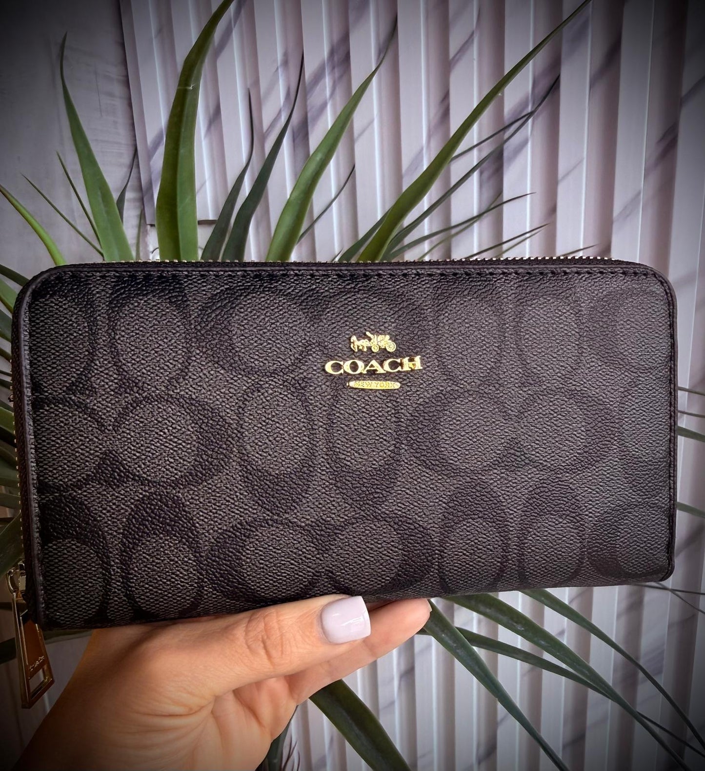 Coach wallet