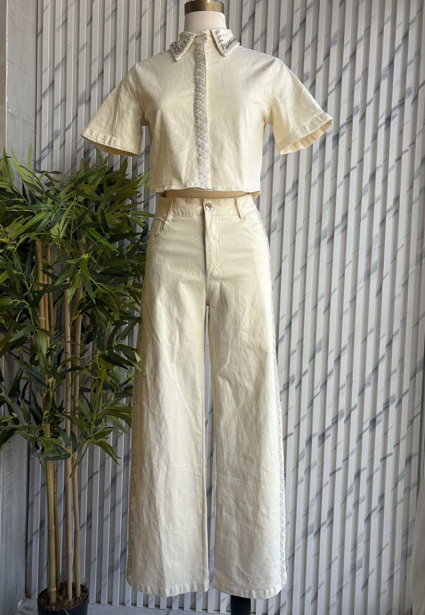 Aurora Ivory